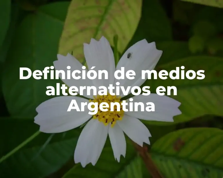Definición de medios alternativos en Argentina