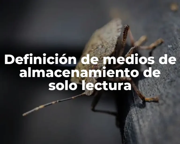 Definición de medios de almacenamiento de solo lectura