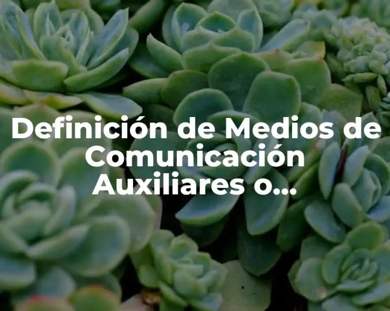 Definición de Medios de Comunicación Auxiliares o Complementarios