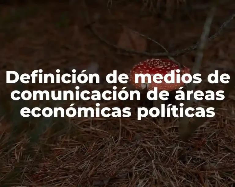 Definición de medios de comunicación de áreas económicas políticas