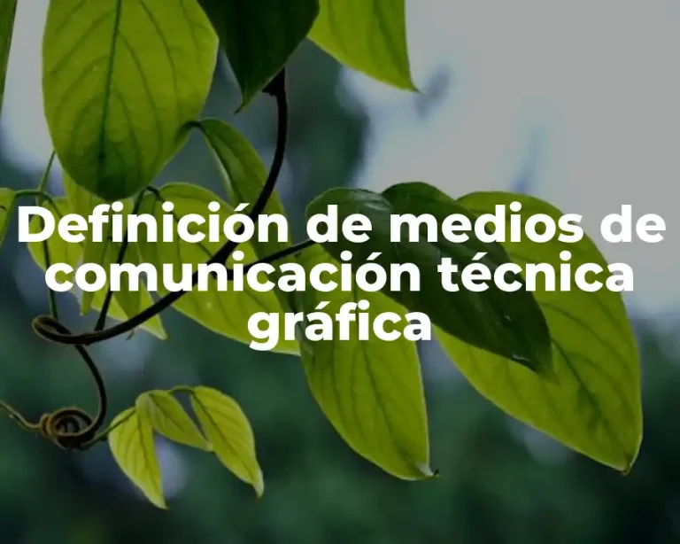Definición de medios de comunicación técnica gráfica