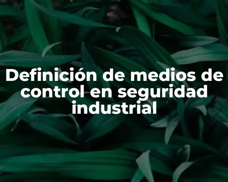 Definición de medios de control en seguridad industrial