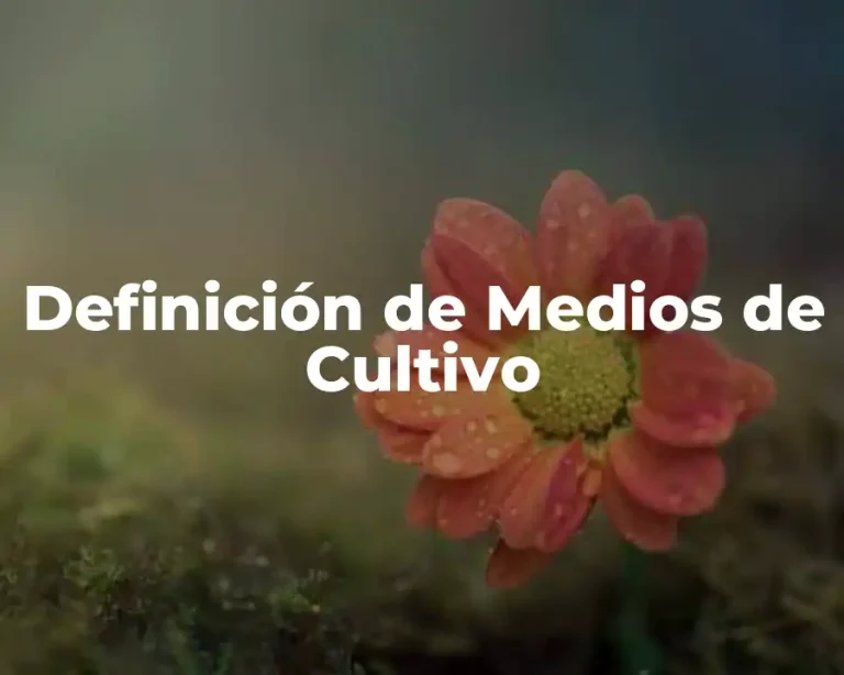 Definición de Medios de Cultivo