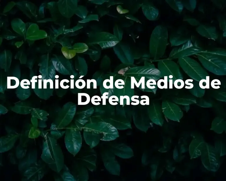 Definición de Medios de Defensa
