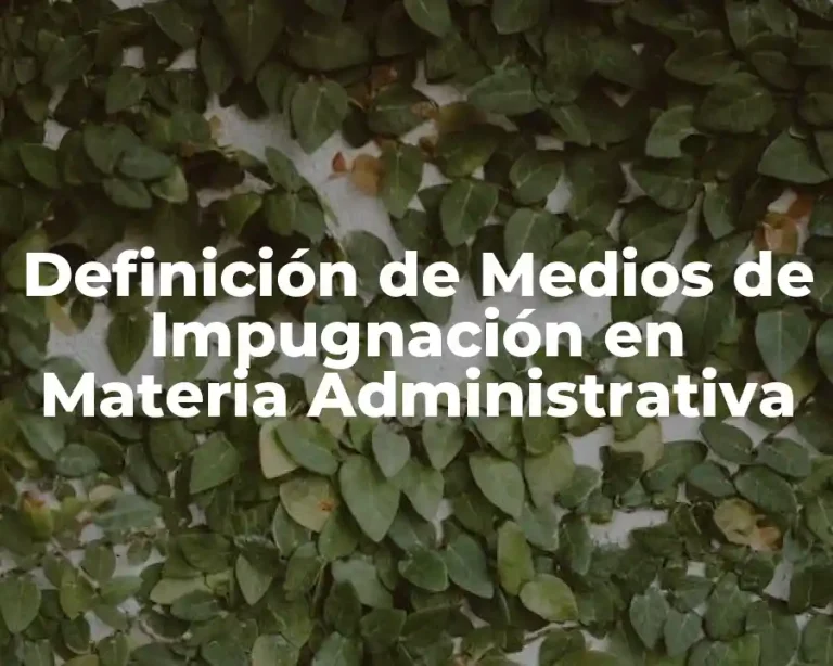 Definición de Medios de Impugnación en Materia Administrativa