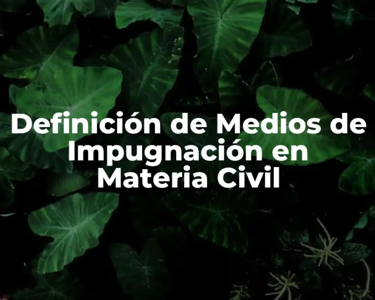 Definición de Medios de Impugnación en Materia Civil