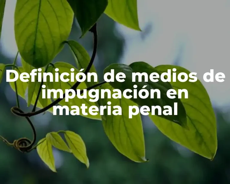 Definición de medios de impugnación en materia penal