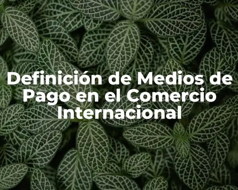 Definición de Medios de Pago en el Comercio Internacional