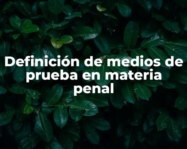 Definición de medios de prueba en materia penal