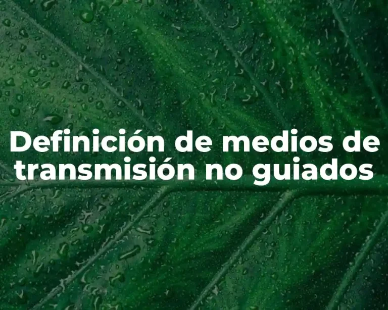Definición de medios de transmisión no guiados