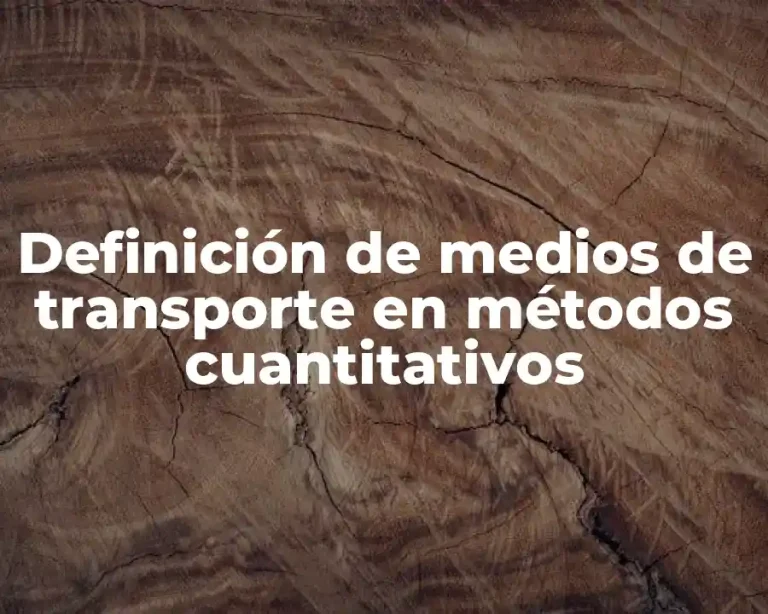 Definición de medios de transporte en métodos cuantitativos