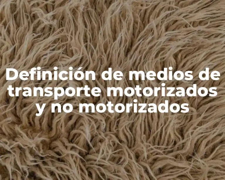 Definición de medios de transporte motorizados y no motorizados