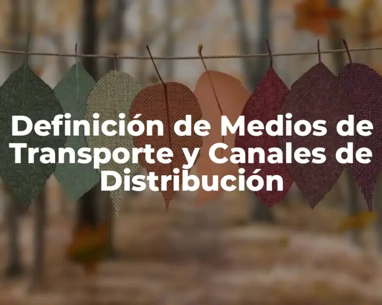 Definición de Medios de Transporte y Canales de Distribución