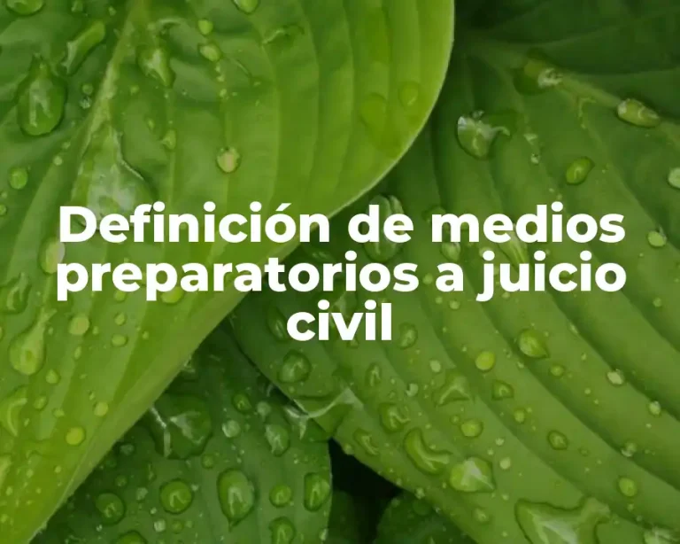Definición de medios preparatorios a juicio civil