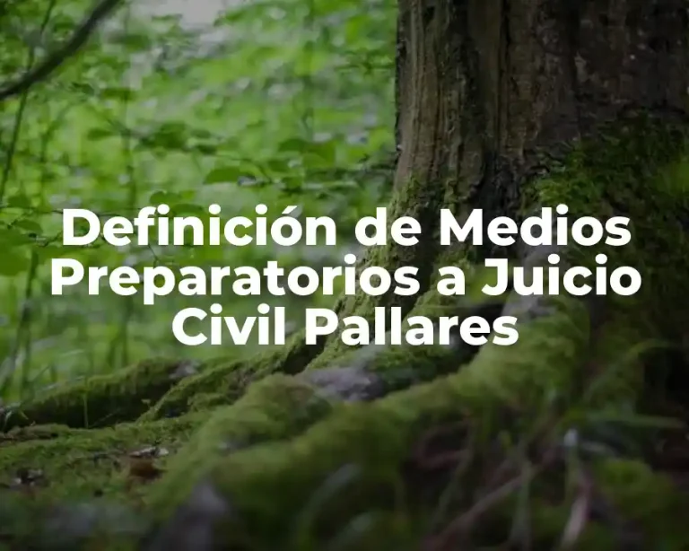 Definición de Medios Preparatorios a Juicio Civil Pallares