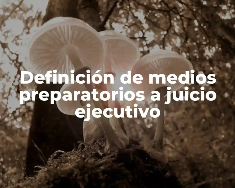 Definición de medios preparatorios a juicio ejecutivo