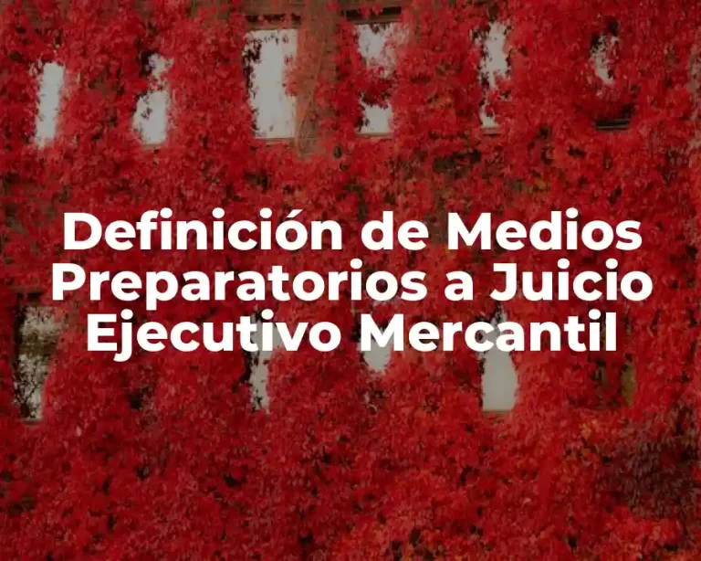 Definición de Medios Preparatorios a Juicio Ejecutivo Mercantil