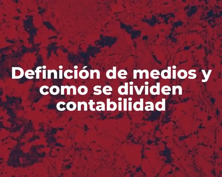 Definición de medios y como se dividen contabilidad