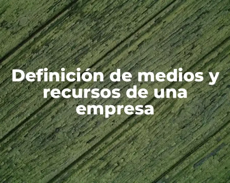 Definición de medios y recursos de una empresa