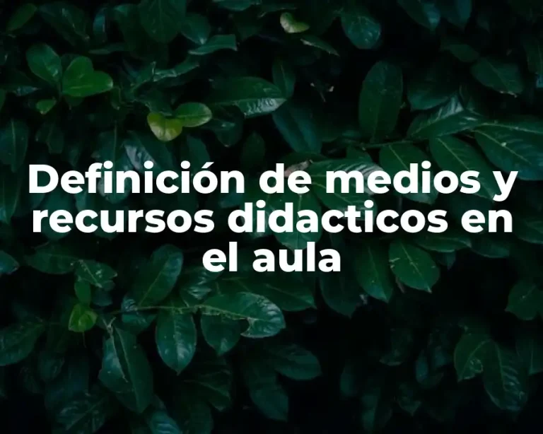 Definición de medios y recursos didacticos en el aula