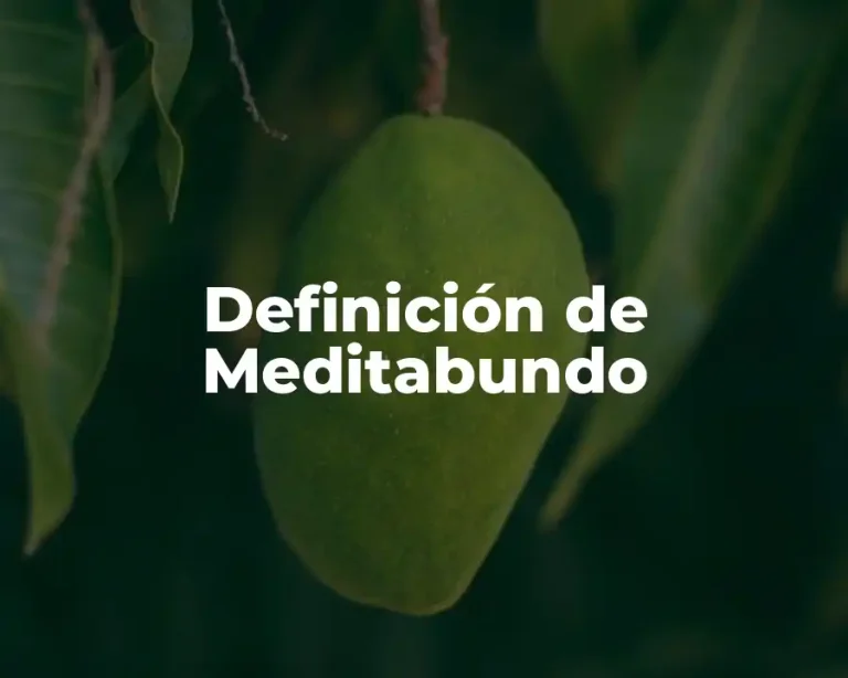Definición de Meditabundo