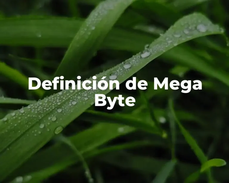 Definición de Mega Byte