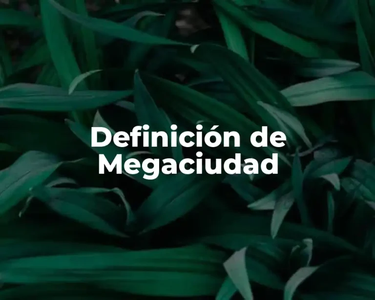 Definición de Megaciudad