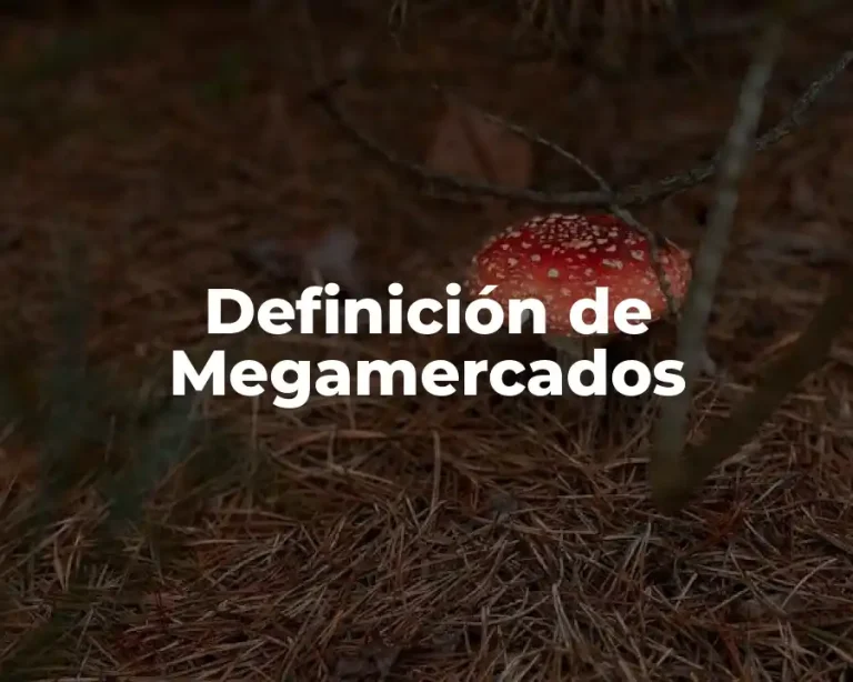 Definición de Megamercados