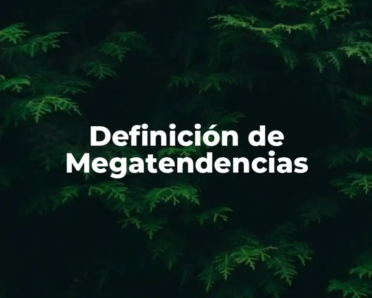 Definición de Megatendencias