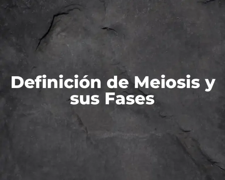 Definición de Meiosis y sus Fases