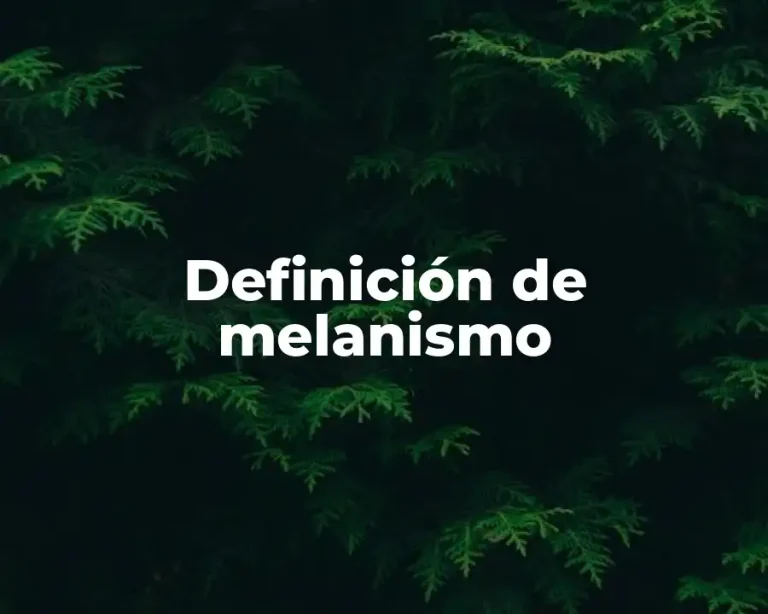 Definición de melanismo