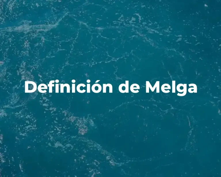Definición de Melga