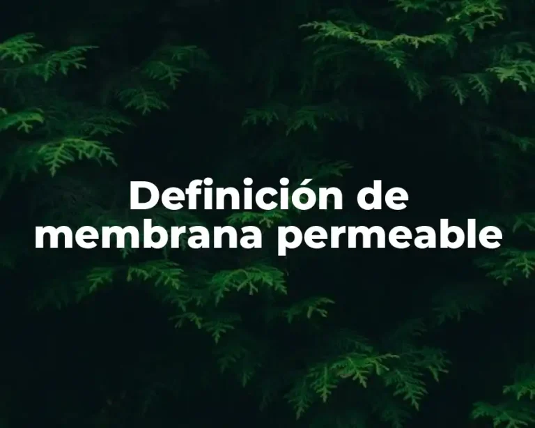 Definición de membrana permeable