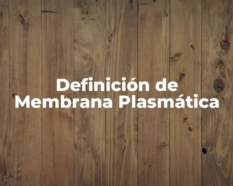 Definición de Membrana Plasmática