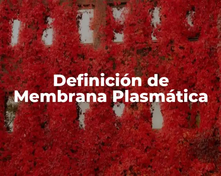 Definición de Membrana Plasmática