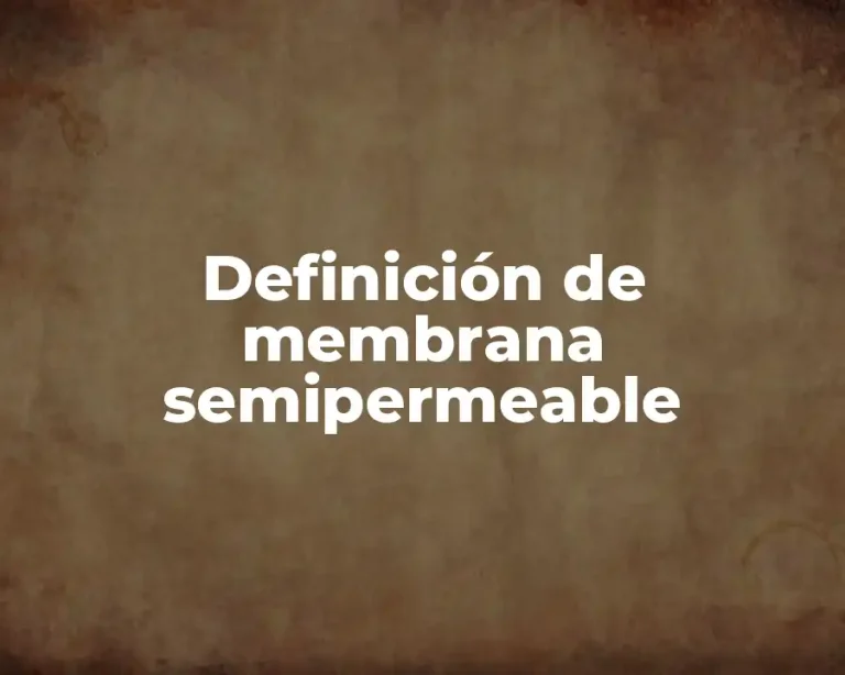 Definición de membrana semipermeable