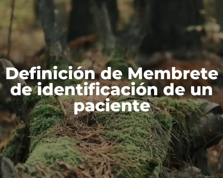 Definición de Membrete de identificación de un paciente