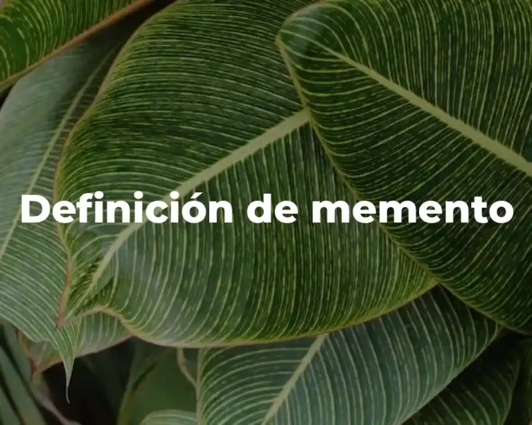 Definición de memento