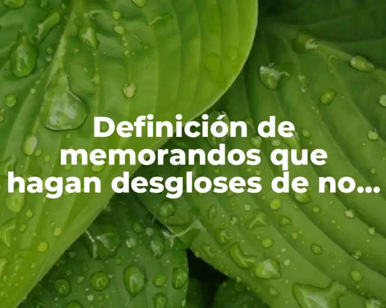 Definición de memorandos que hagan desgloses de no deducibles