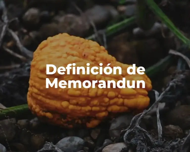 Definición de Memorandun