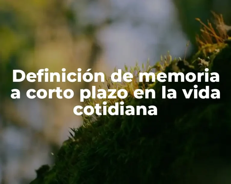 Definición de memoria a corto plazo en la vida cotidiana