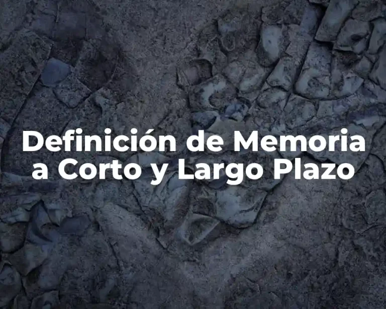 Definición de Memoria a Corto y Largo Plazo