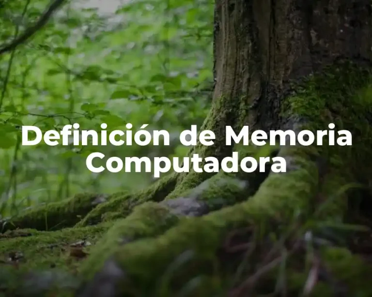 Definición de Memoria Computadora