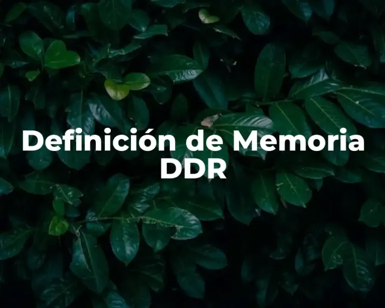 Definición de Memoria DDR