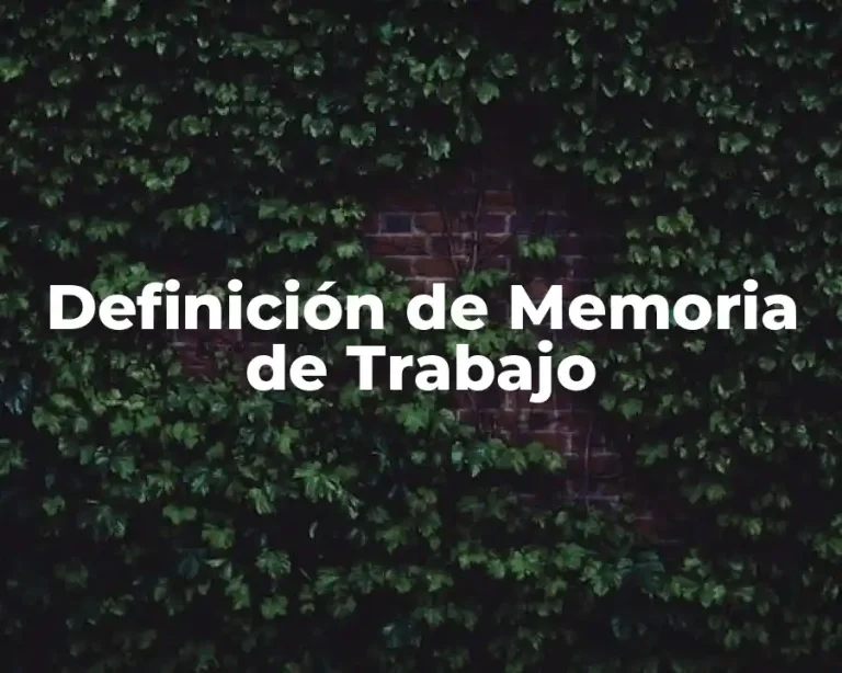 Definición de Memoria de Trabajo