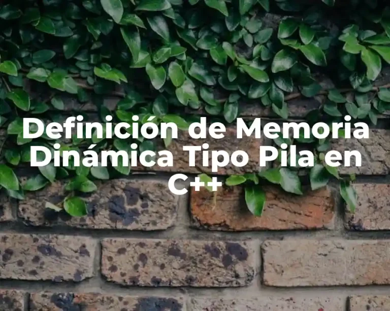 Definición de Memoria Dinámica Tipo Pila en C++