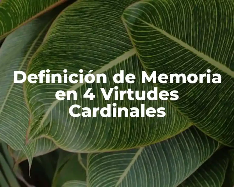 Definición de Memoria en 4 Virtudes Cardinales
