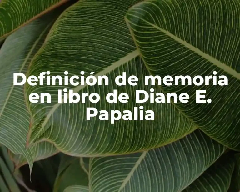 Definición de memoria en libro de Diane E. Papalia