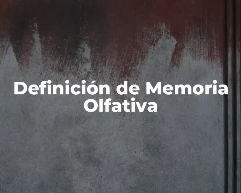 Definición de Memoria Olfativa