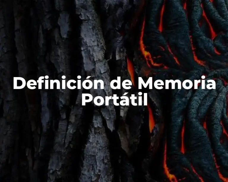 Definición de Memoria Portátil